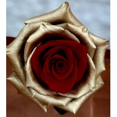 PINK RED GOLD